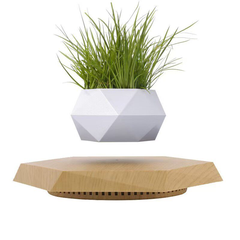 Magnetic Levitation Planter with Wood Carving, Trendy Living Room Decor
