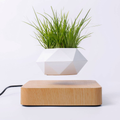 Magnetic Levitation Planter with Wood Carving, Trendy Living Room Decor