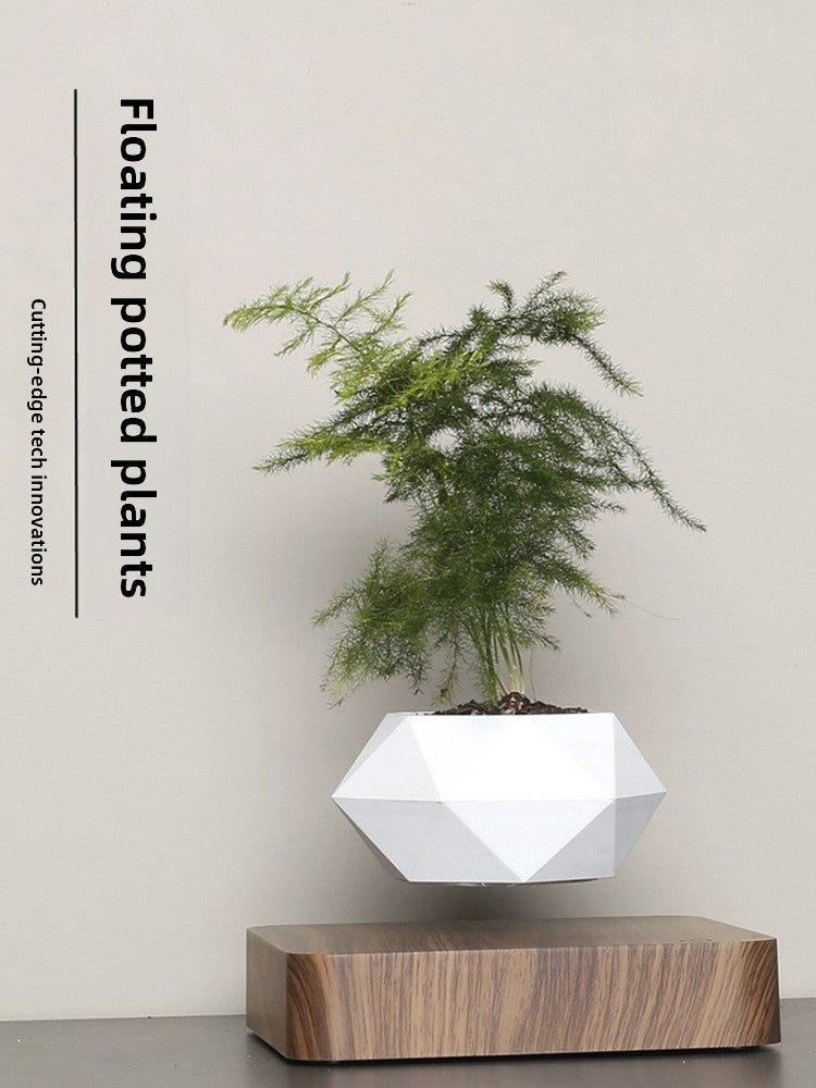 Magnetic Levitation Planter with Wood Carving, Trendy Living Room Decor