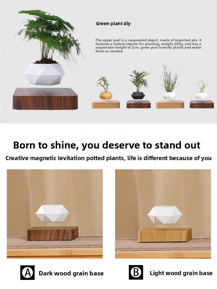 Magnetic Levitation Planter with Wood Carving, Trendy Living Room Decor