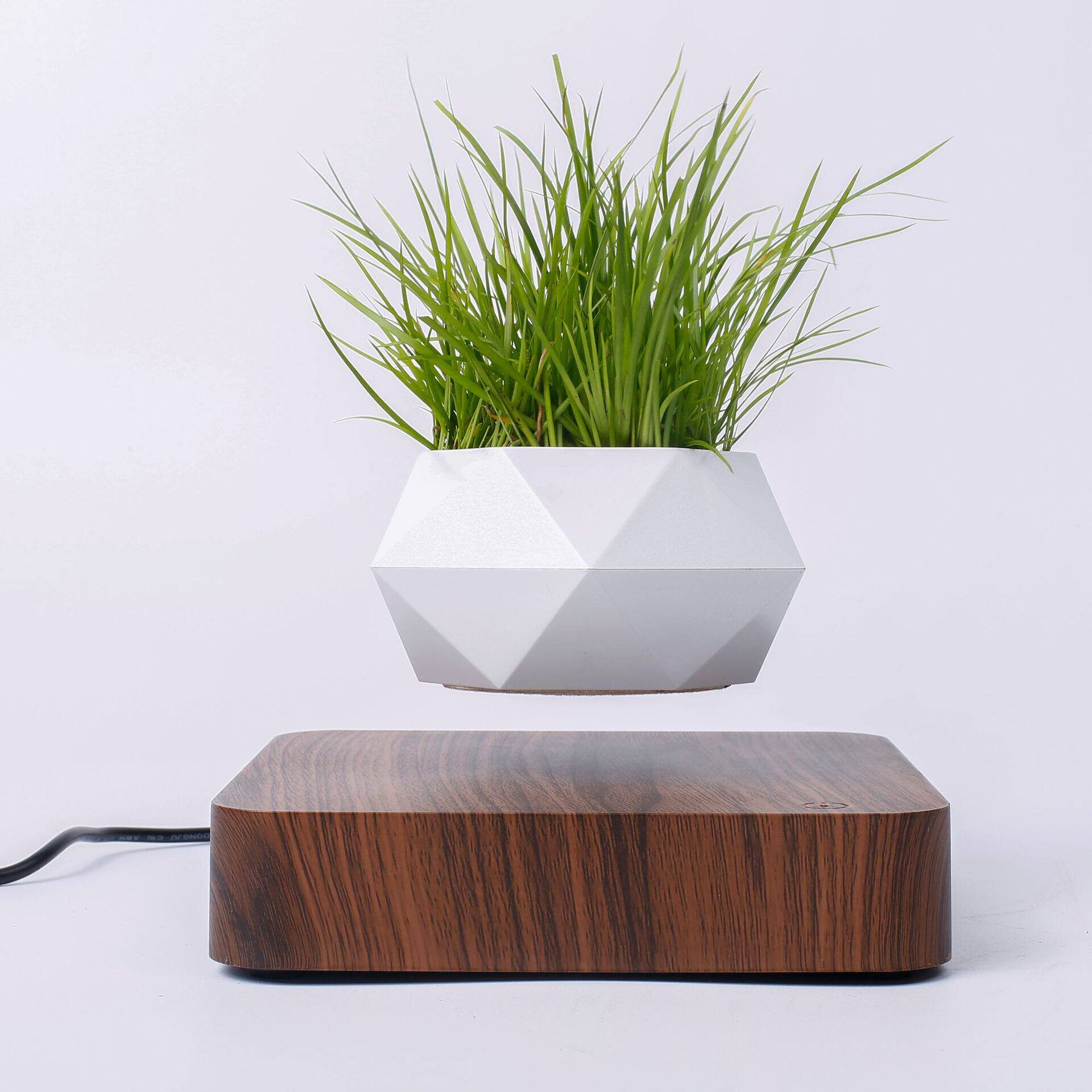 Magnetic Levitation Planter with Wood Carving, Trendy Living Room Decor